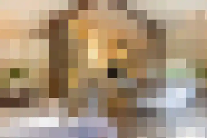 Bolmansweg 5 Epse thumbnail 18