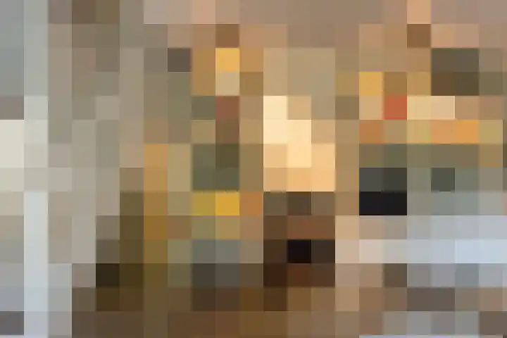Bolmansweg 5 Epse thumbnail 19
