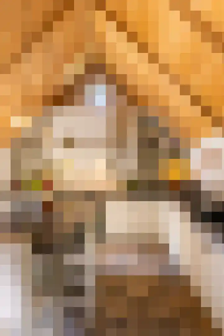 Bolmansweg 5 Epse thumbnail 24