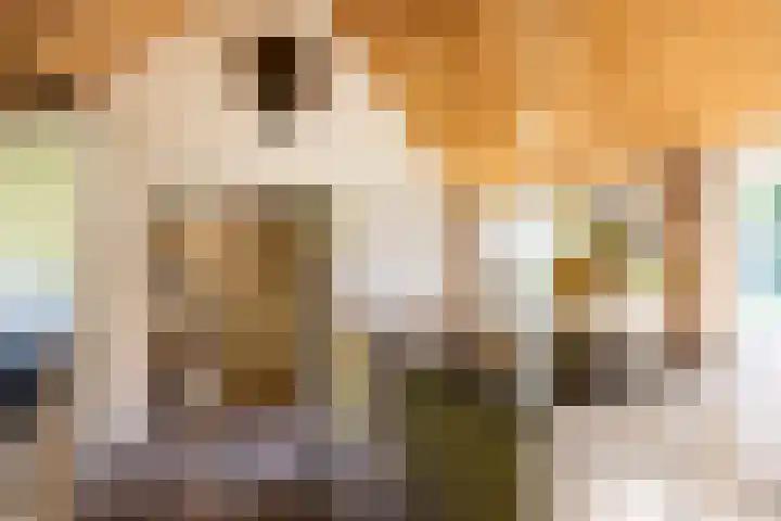 Bolmansweg 5 Epse thumbnail 29
