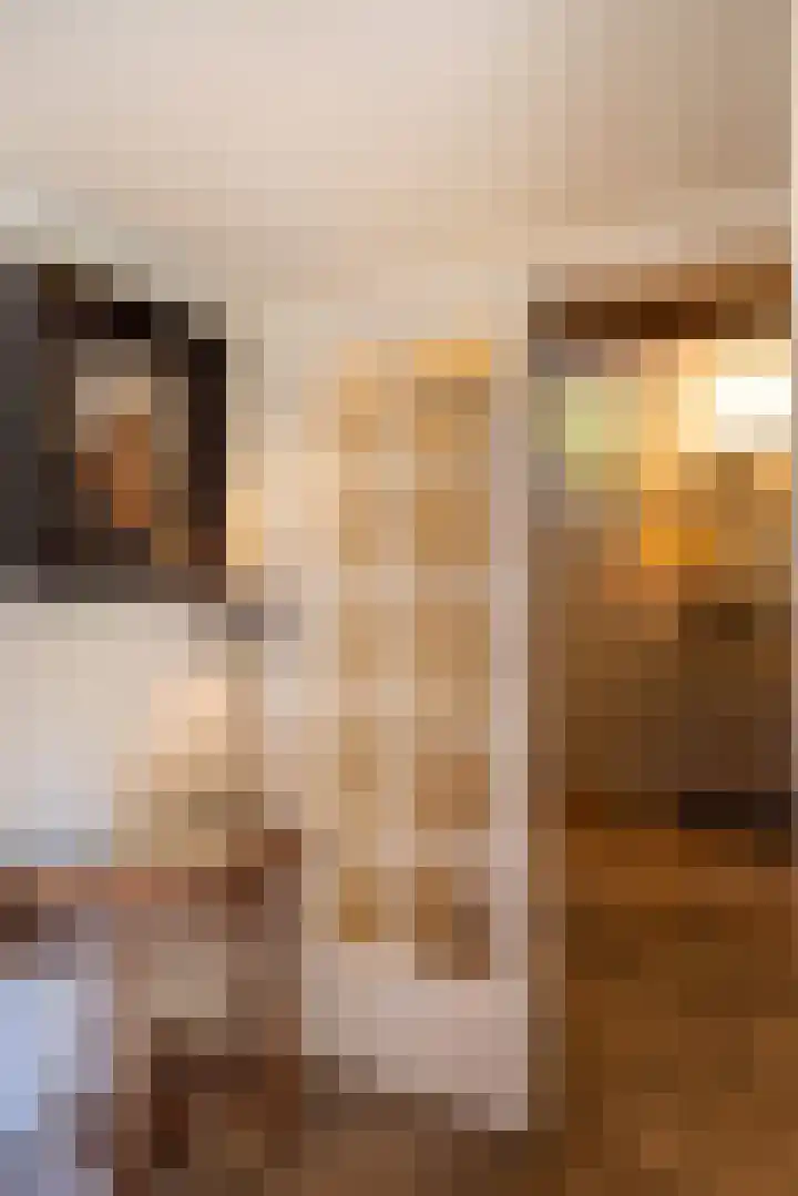 Bolmansweg 5 Epse thumbnail 30