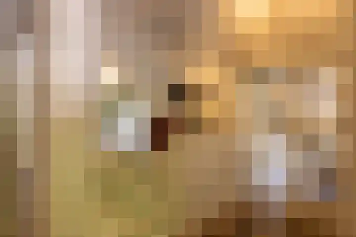 Bolmansweg 5 Epse thumbnail 31