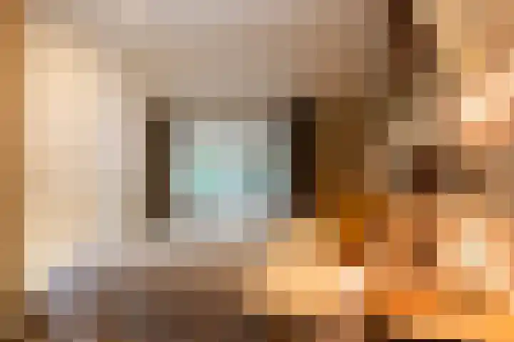 Bolmansweg 5 Epse thumbnail 33