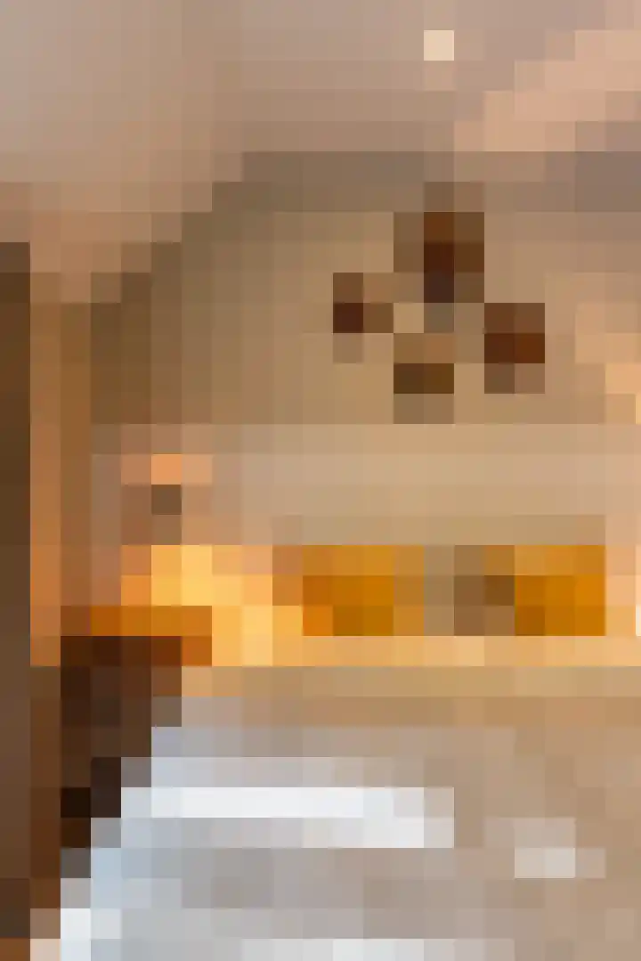 Bolmansweg 5 Epse thumbnail 34