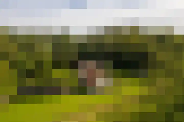 Bolmansweg 5 Epse thumbnail 4