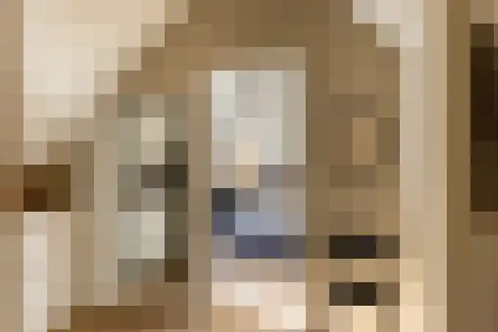 Bolmansweg 5 Epse thumbnail 40