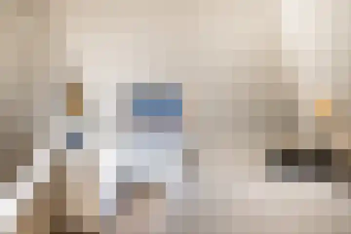 Bolmansweg 5 Epse thumbnail 42