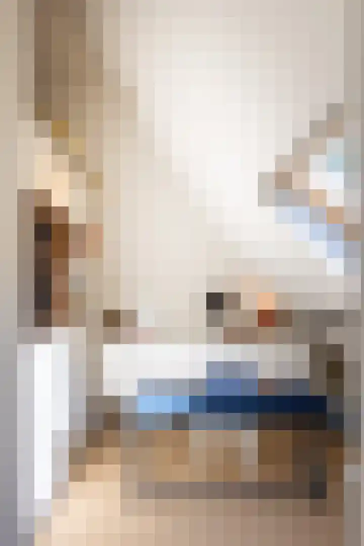 Bolmansweg 5 Epse thumbnail 45