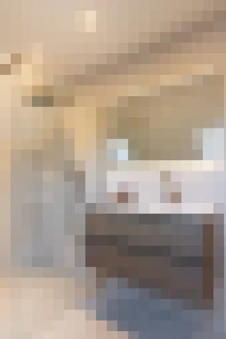 Bolmansweg 5 Epse thumbnail 48