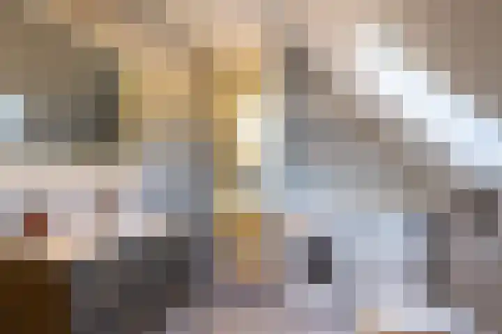 Bolmansweg 5 Epse thumbnail 49