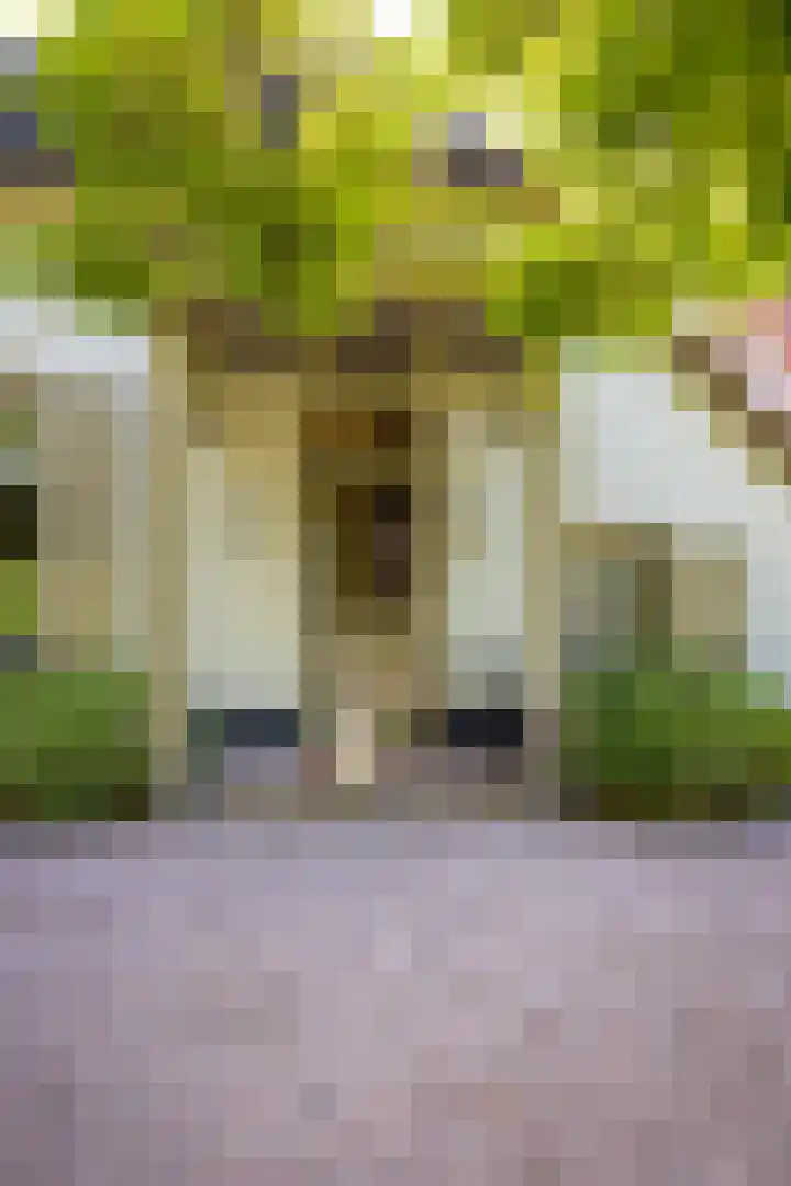 Bolmansweg 5 Epse thumbnail 5
