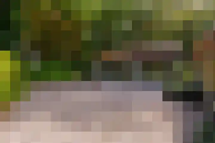 Bolmansweg 5 Epse thumbnail 50