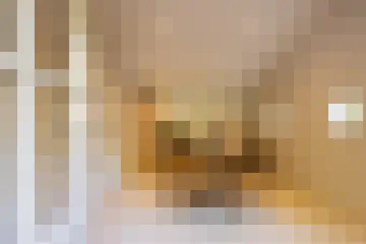 Bolmansweg 5 Epse thumbnail 51