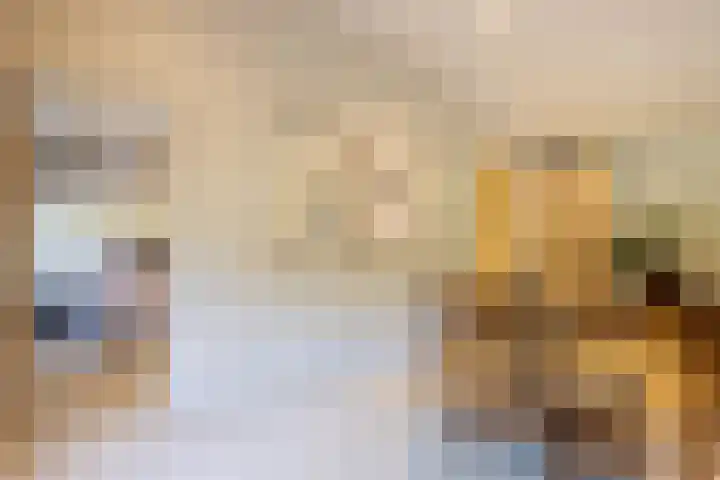 Bolmansweg 5 Epse thumbnail 52