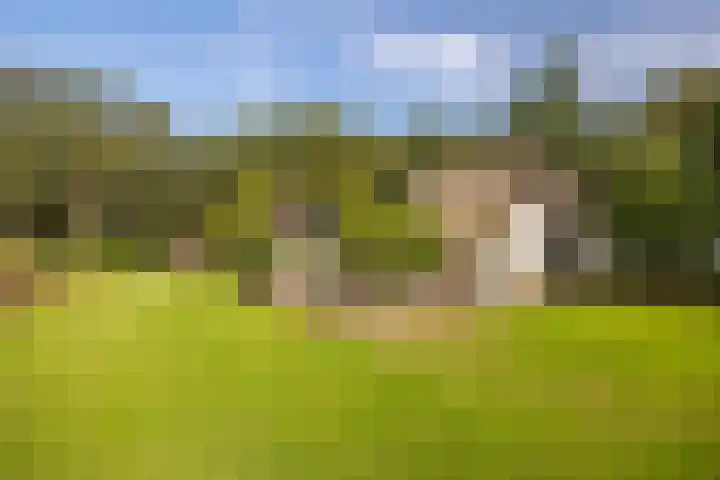 Bolmansweg 5 Epse thumbnail 60
