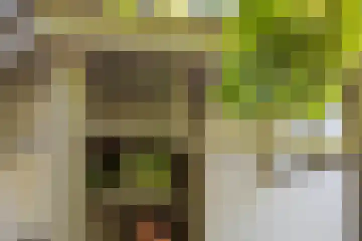 Bolmansweg 5 Epse thumbnail 61