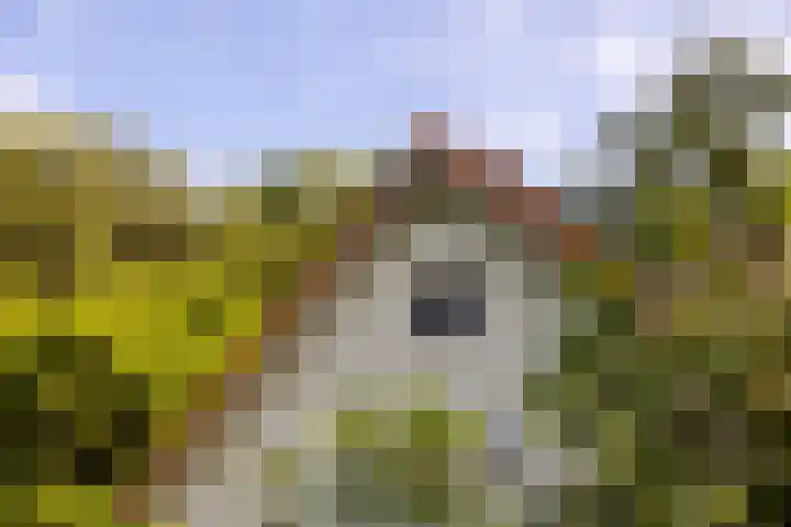 Bolmansweg 5 Epse thumbnail 62