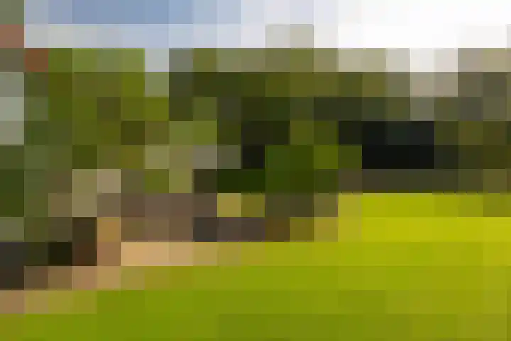 Bolmansweg 5 Epse thumbnail 63