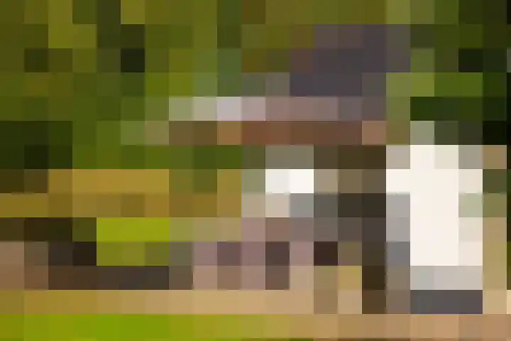 Bolmansweg 5 Epse thumbnail 64