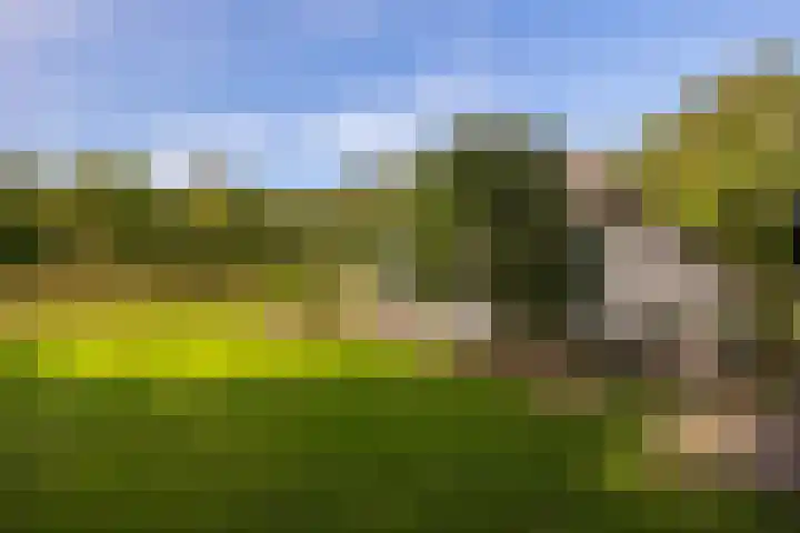 Bolmansweg 5 Epse thumbnail 66