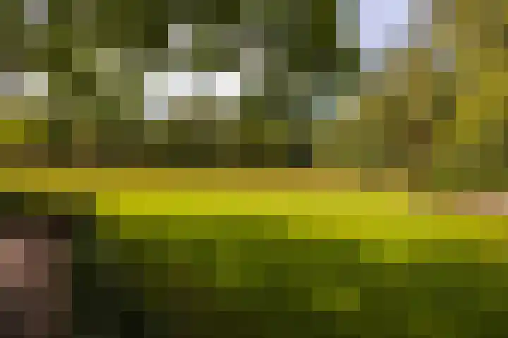 Bolmansweg 5 Epse thumbnail 68
