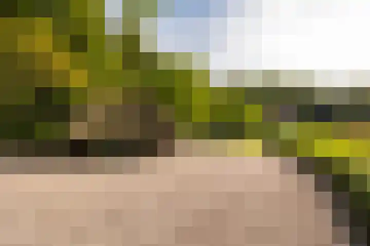 Bolmansweg 5 Epse thumbnail 69