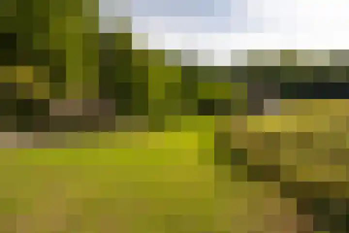 Bolmansweg 5 Epse thumbnail 70