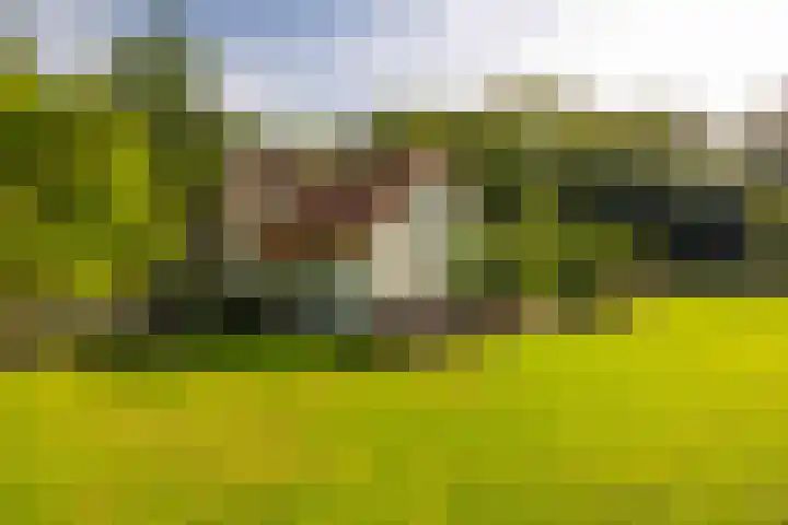 Bolmansweg 5 Epse thumbnail 71