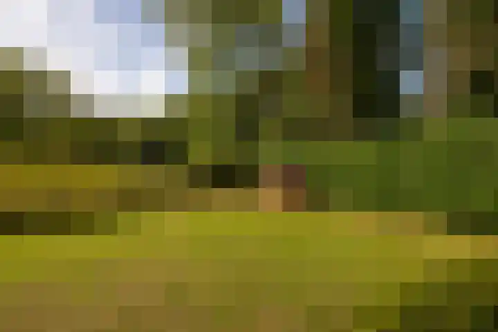 Bolmansweg 5 Epse thumbnail 73