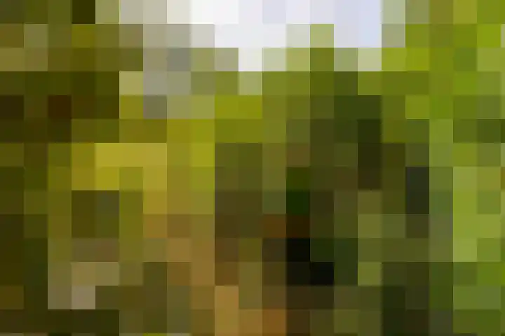 Bolmansweg 5 Epse thumbnail 74