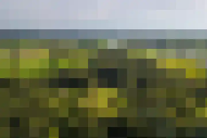 Bolmansweg 5 Epse thumbnail 75
