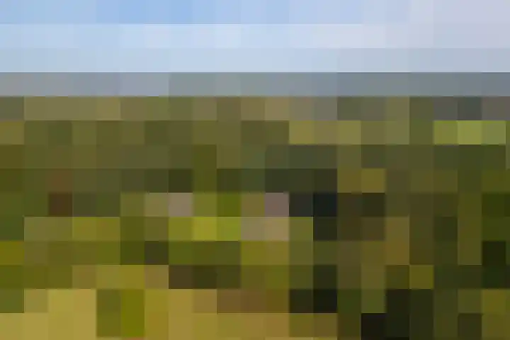 Bolmansweg 5 Epse thumbnail 76