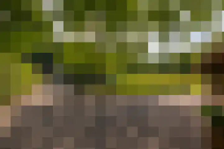 Bolmansweg 5 Epse thumbnail 77