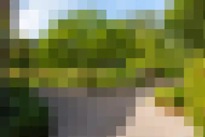 Bolmansweg 5 Epse thumbnail 78