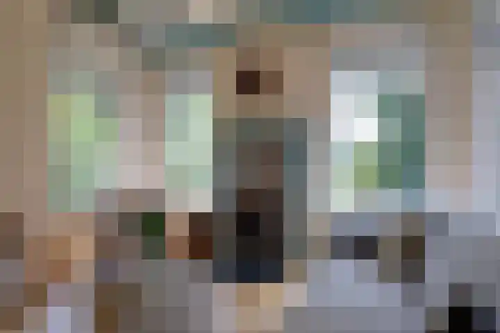 Bolmeer 8 Zevenhuizen thumbnail 11