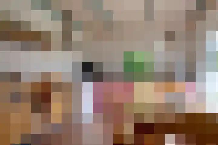 Bolmeer 8 Zevenhuizen thumbnail 12
