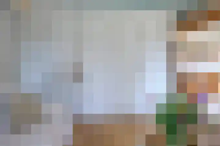 Bolmeer 8 Zevenhuizen thumbnail 14