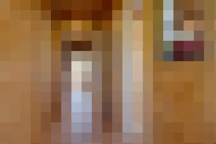 Bolmeer 8 Zevenhuizen thumbnail 15