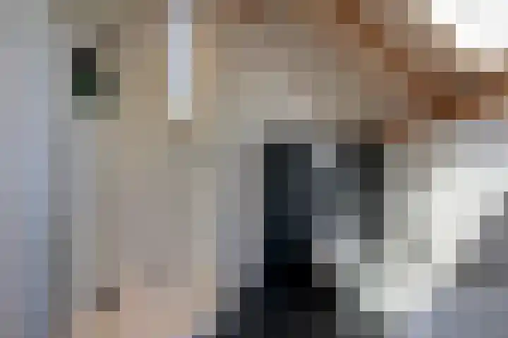 Bolmeer 8 Zevenhuizen thumbnail 22