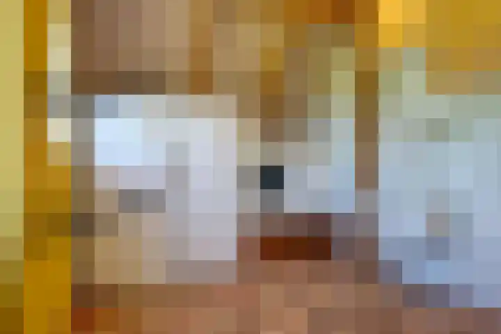 Bolmeer 8 Zevenhuizen thumbnail 27
