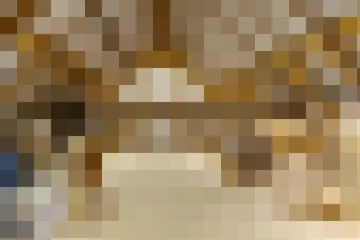 Bolmeer 8 Zevenhuizen thumbnail 28