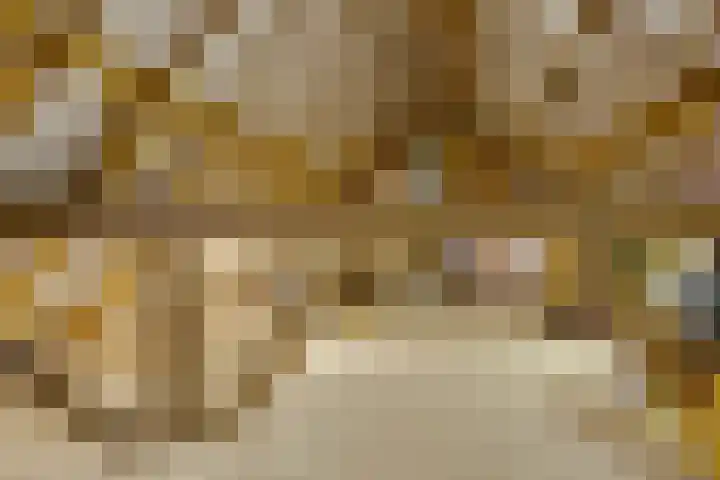 Bolmeer 8 Zevenhuizen thumbnail 29