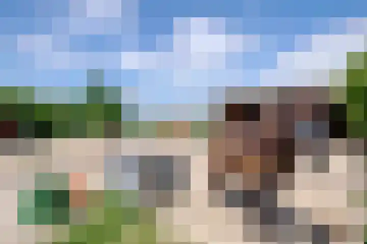 Bolmeer 8 Zevenhuizen thumbnail 32