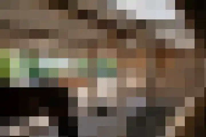 Bolmeer 8 Zevenhuizen thumbnail 33