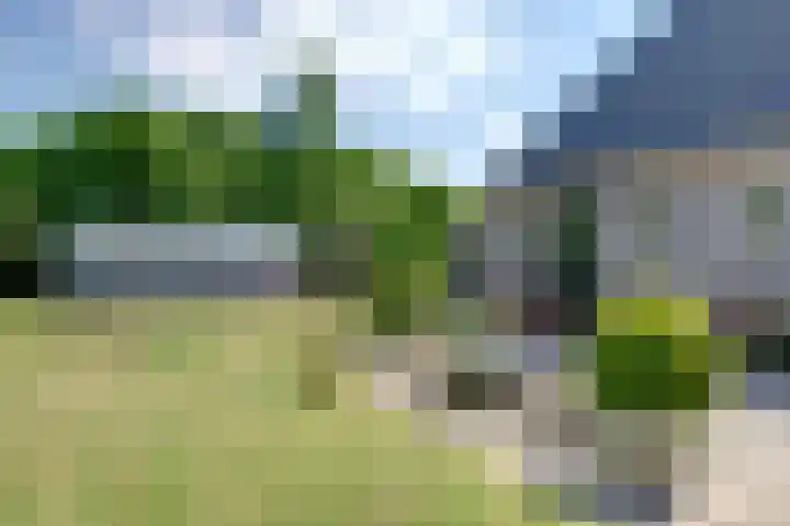 Bolmeer 8 Zevenhuizen thumbnail 34