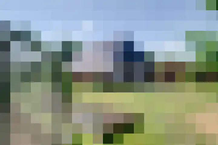 Bolmeer 8 Zevenhuizen thumbnail 35