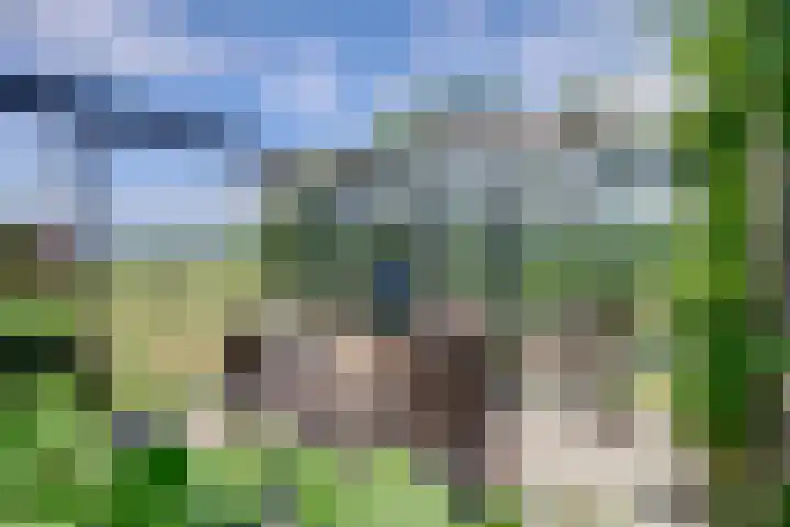 Bolmeer 8 Zevenhuizen thumbnail 37