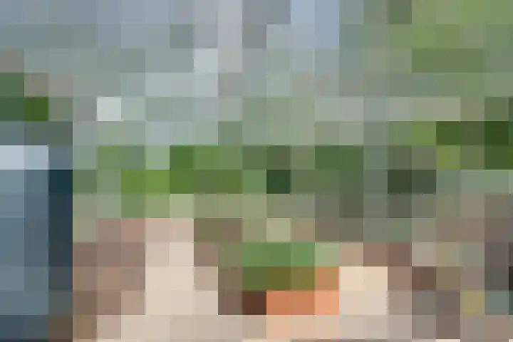 Bolmeer 8 Zevenhuizen thumbnail 38