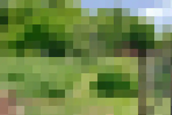 Bolmeer 8 Zevenhuizen thumbnail 39
