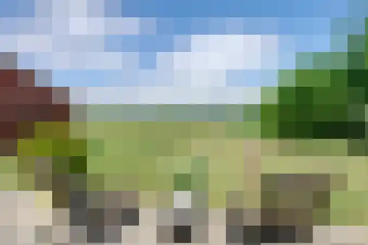 Bolmeer 8 Zevenhuizen thumbnail 4